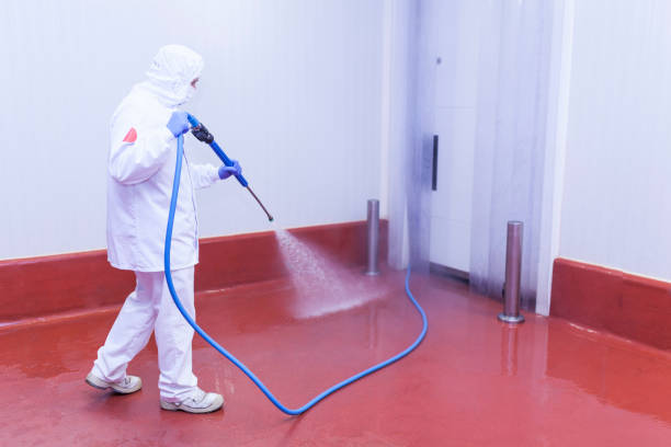 Best Patio and Deck Pressure Washing  in Coronado, CA